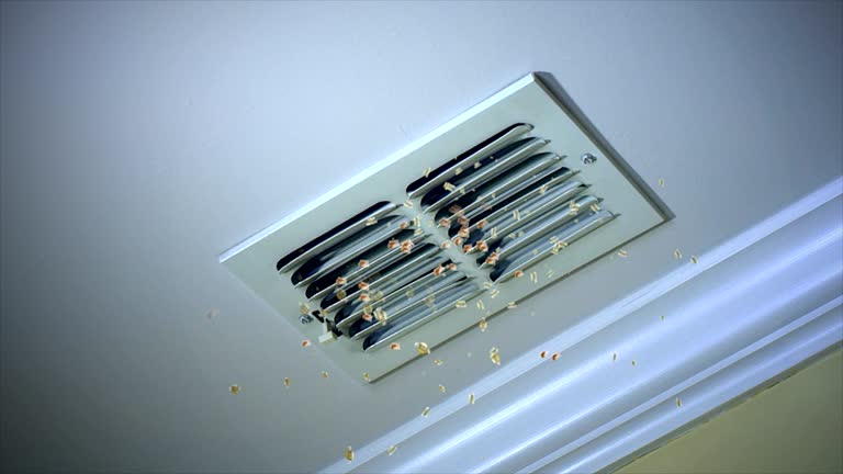 Best Best Air Duct Cleaning Company  in Glenwood, IL